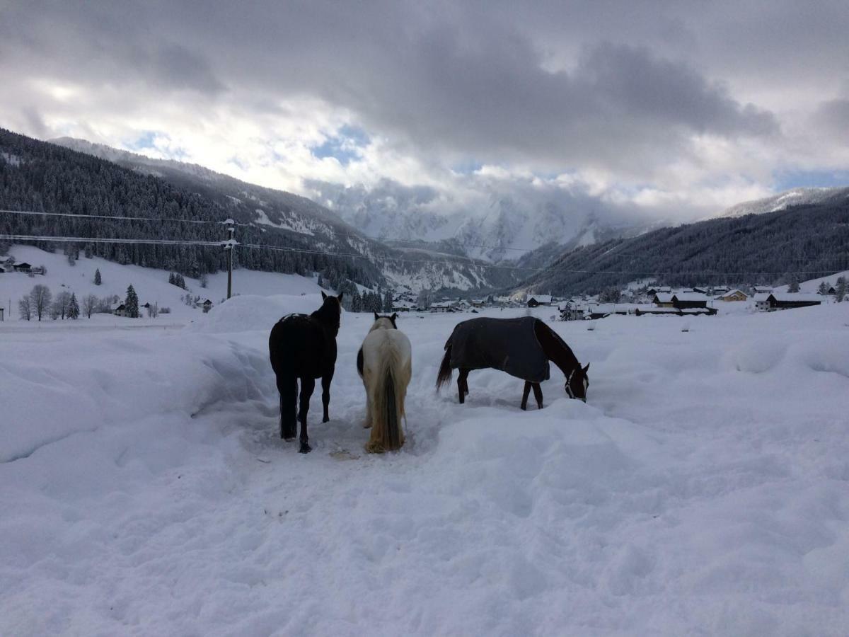 Ferienwohnung Schmiedsipplbad Gosau Buitenkant foto