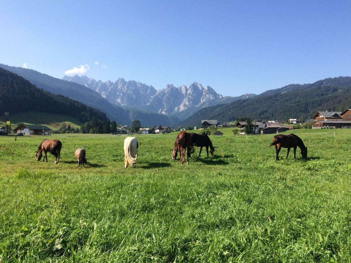 Ferienwohnung Schmiedsipplbad Gosau Buitenkant foto